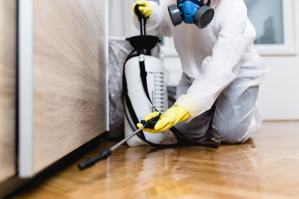 Best Pest Prevention Services  in Northwest Ithaca, NY