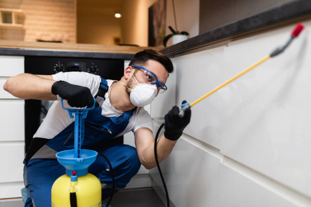 Best Emergency Pest Control  in Northwest Ithaca, NY