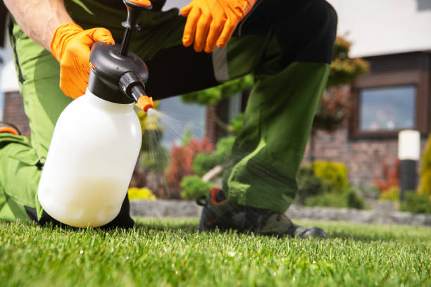 Professional Pest Control in Northwest Ithaca, NY