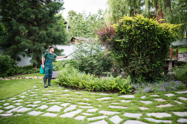 Best Best Pest Control Companies  in Northwest Ithaca, NY