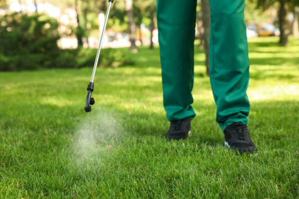 Best Pest Control Near Me  in Northwest Ithaca, NY