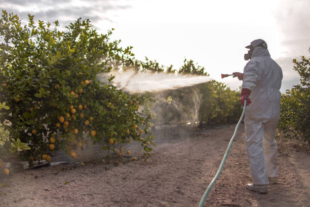 Best Pest Control for Homes  in Northwest Ithaca, NY