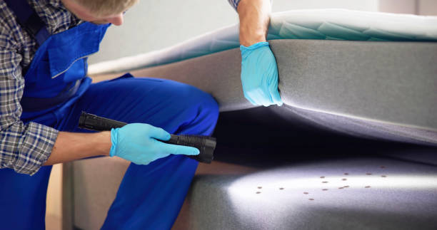 Best Affordable Pest Control Services  in Northwest Ithaca, NY