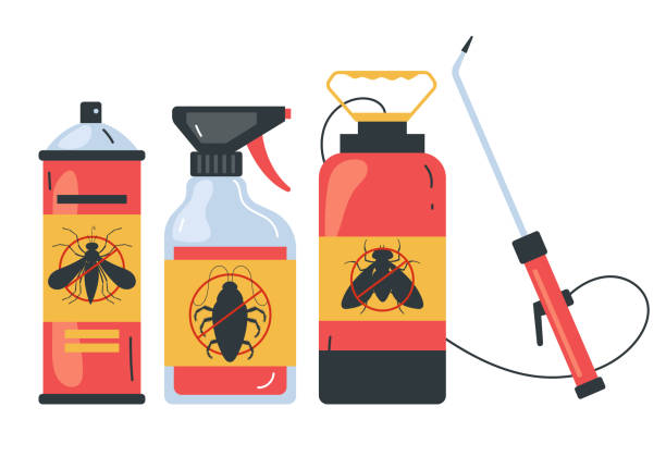 Best Spider Control Near Me  in Northwest Ithaca, NY