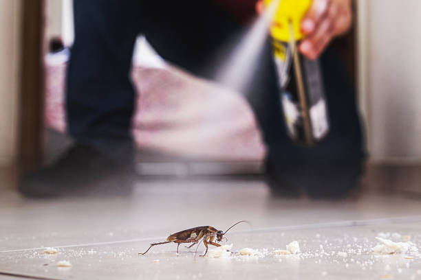 Best Pest Removal Services  in Northwest Ithaca, NY