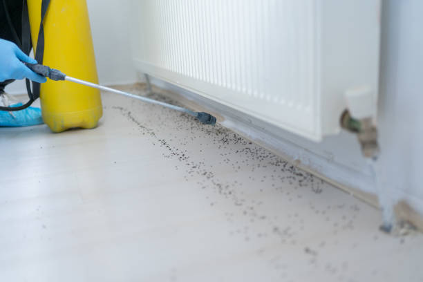 Best Residential Pest Control  in Northwest Ithaca, NY