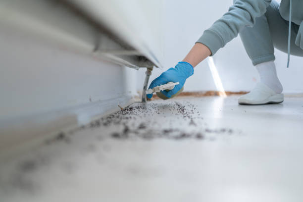 Best Bed Bug Extermination  in Northwest Ithaca, NY